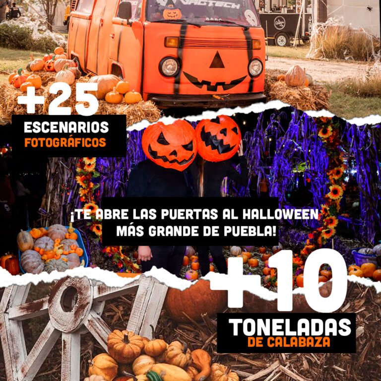 Mesa de trabajo 2