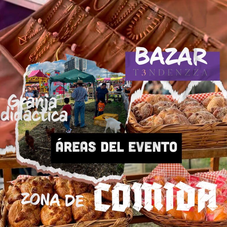 Mesa de trabajo 5